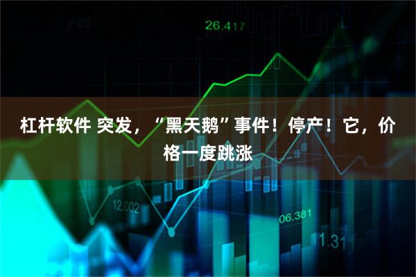 杠杆软件 突发，“黑天鹅”事件！停产！它，价格一度跳涨