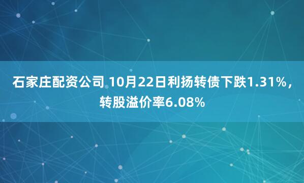 石家庄配资公司 10月22日利扬转债下跌1.31%，转股溢价率6.08%
