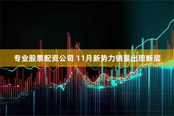 专业股票配资公司 11月新势力销量出现断层