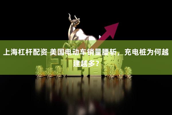 上海杠杆配资 美国电动车销量腰斩，充电桩为何越建越多？